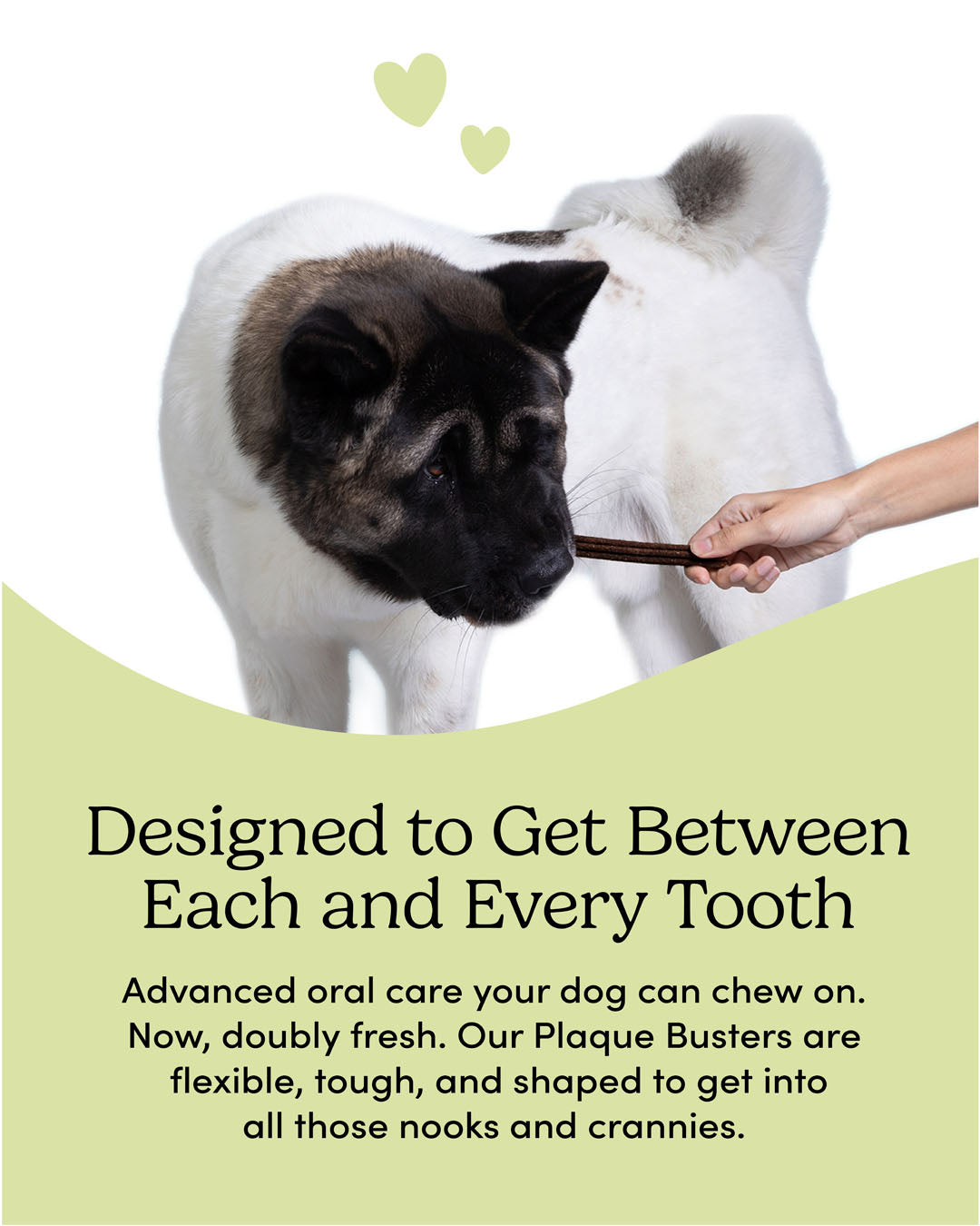 
                        
                          Plaque Busters Advanced Double Fresh Dental Sticks
                        
                      