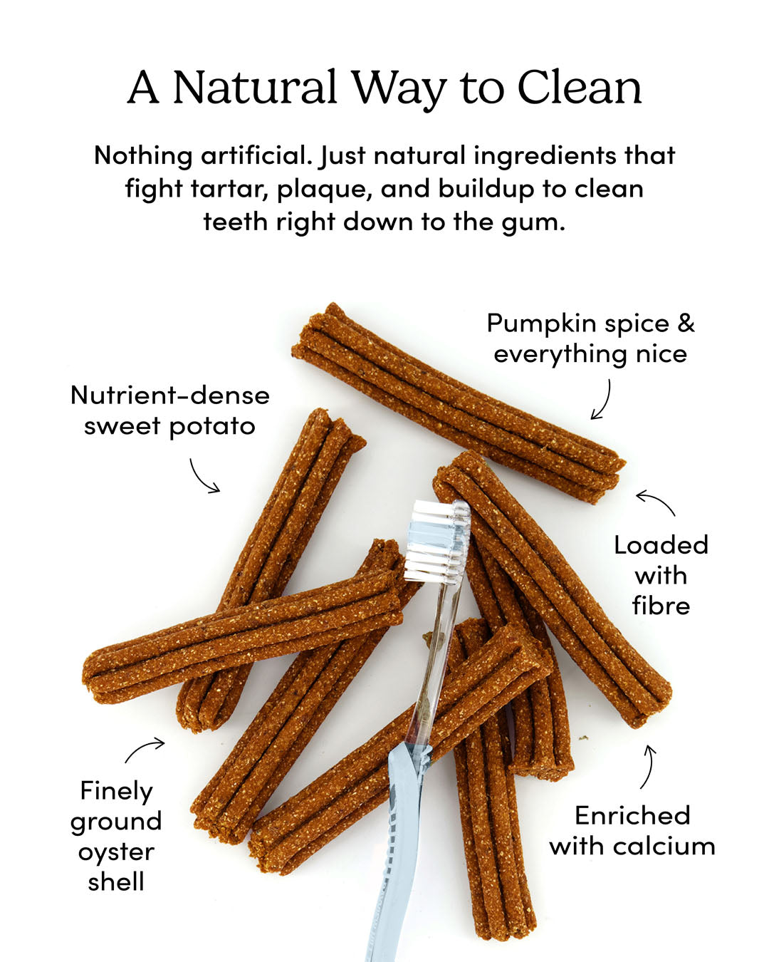 
                        
                          Plaque Busters Pumpkin Spice Dental Sticks
                        
                      