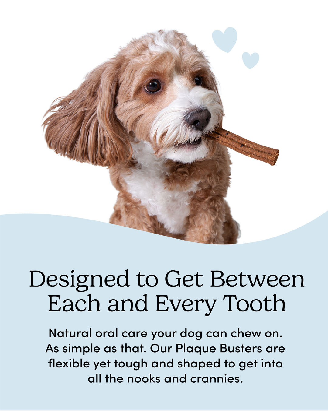 
                        
                          Plaque Busters Pumpkin Spice Dental Sticks
                        
                      