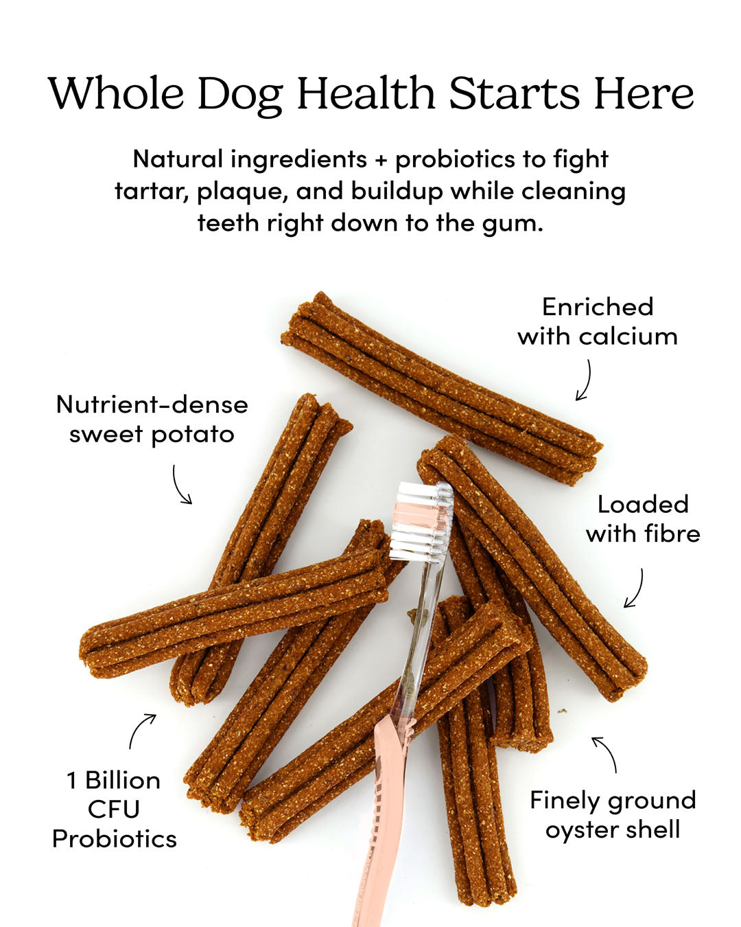 
                        
                          Plaque Busters Advanced Whole Mouth Dental Sticks
                        
                      