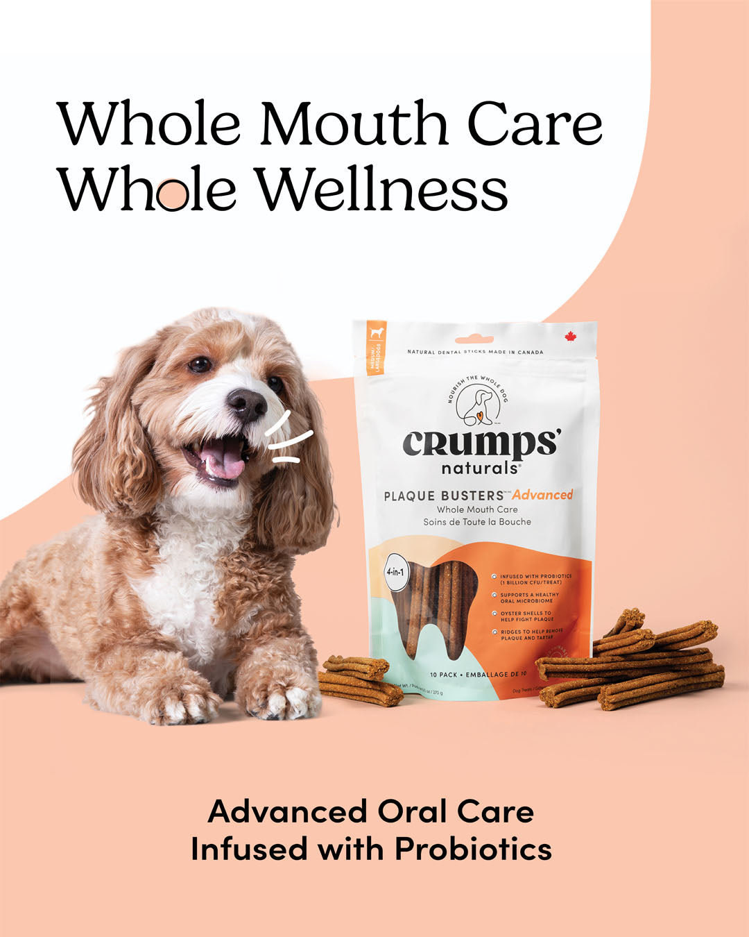 
                        
                          Plaque Busters Advanced Whole Mouth Dental Sticks
                        
                      