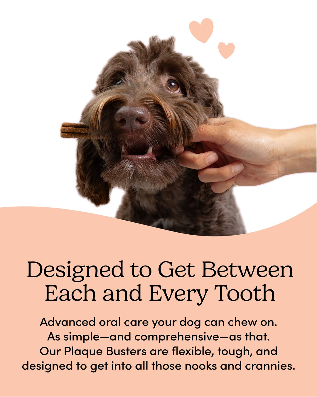 
                        
                          Plaque Busters Advanced Whole Mouth Dental Sticks
                        
                      