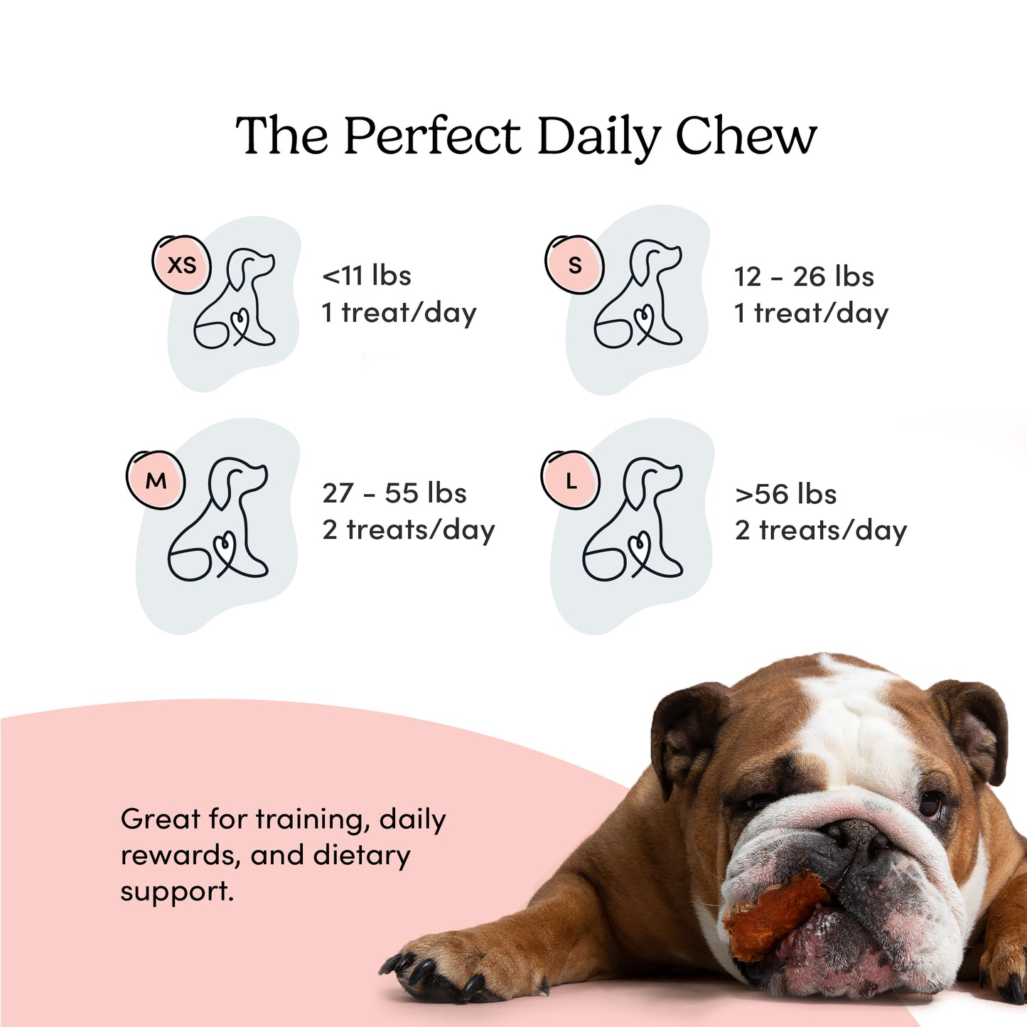 
                        
                          Sweet Potato Chews (VER 2)
                        
                      
