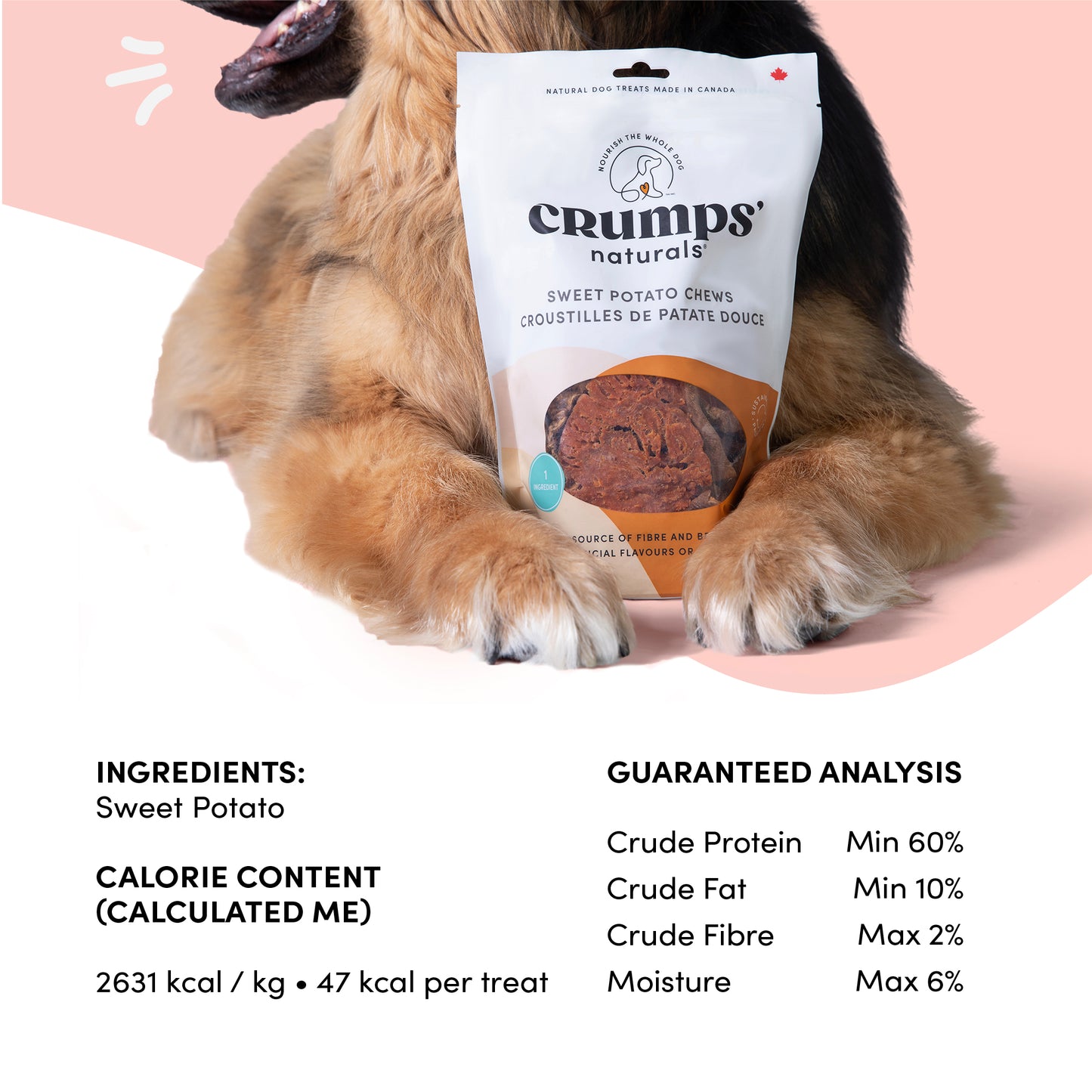 
                        
                          Sweet Potato Chews (VER 2)
                        
                      