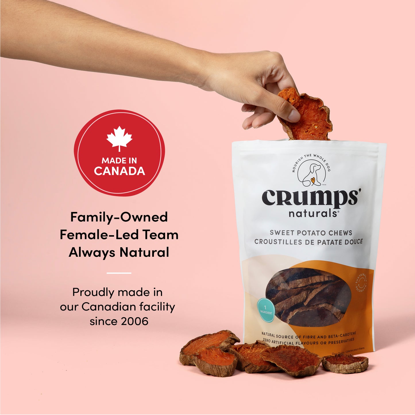 
                        
                          Sweet Potato Chews (Copy)
                        
                      