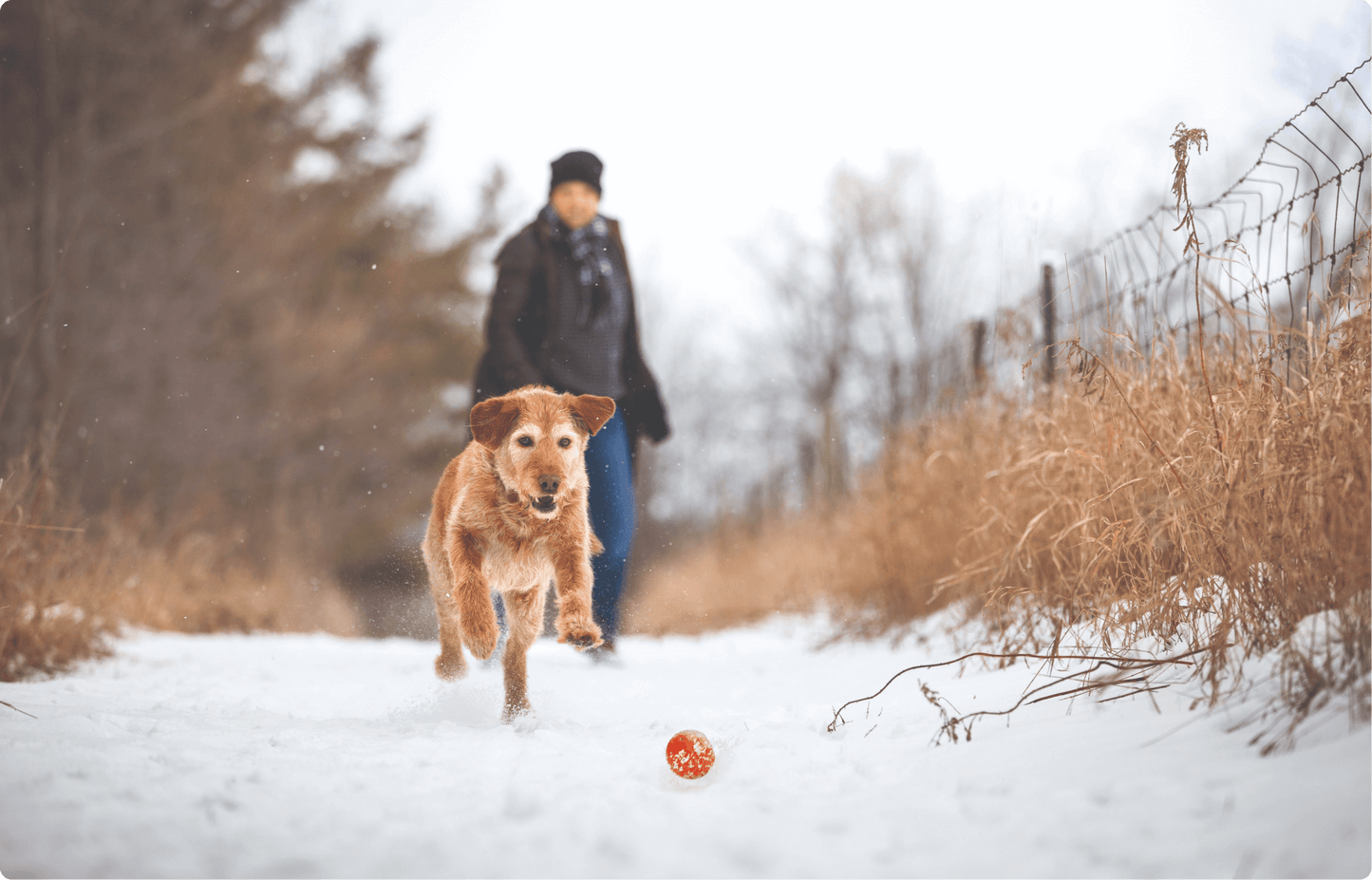 Margot and her dog Alice | Crumps' Naturals