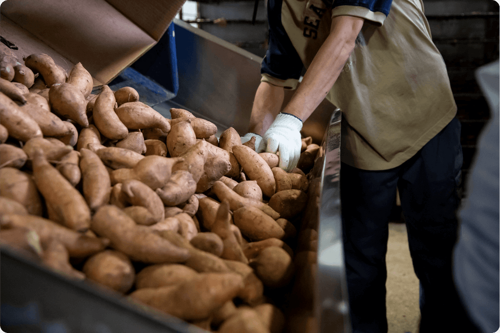 Ingredient promise | Quality sweet potatoes from North Carolina | Crumps' Naturals