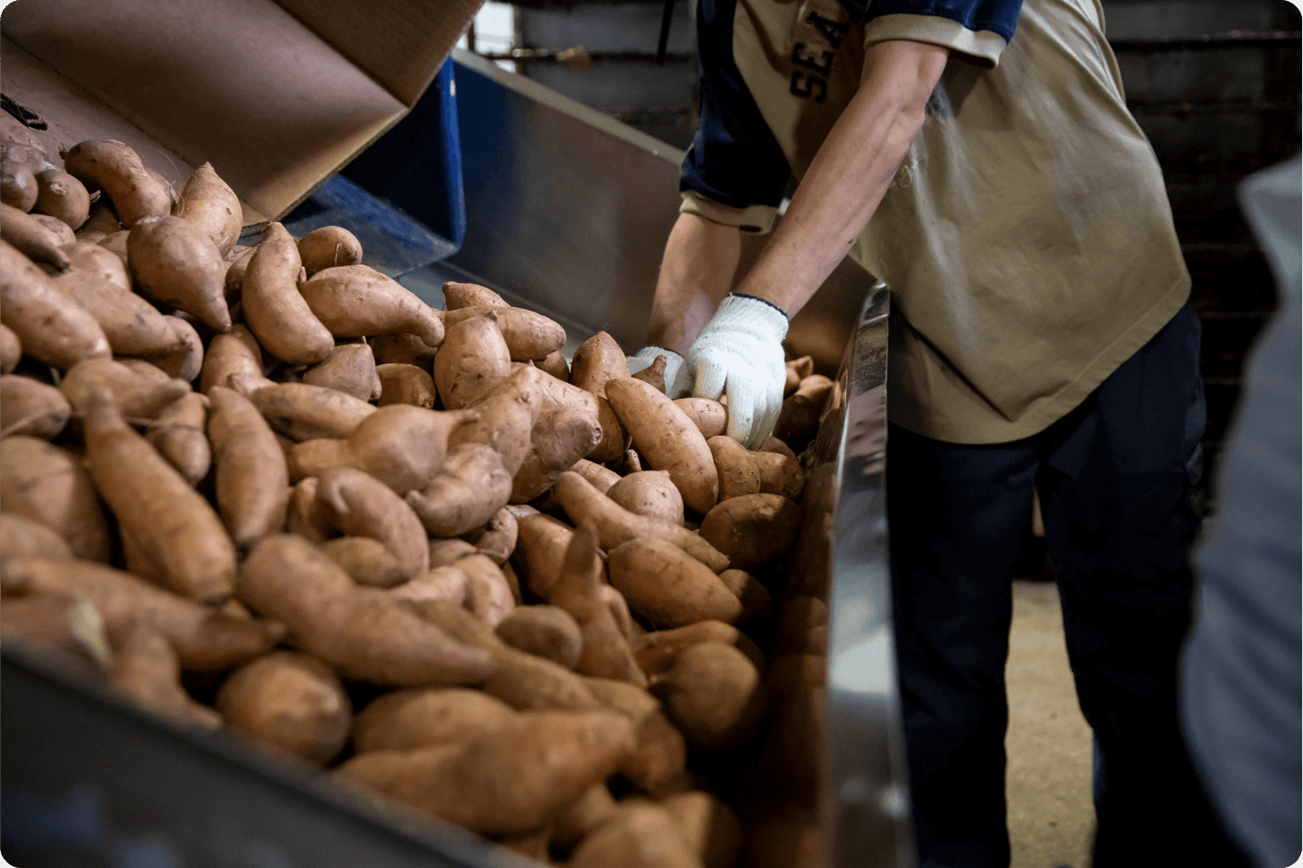 Ingredient promise | Quality sweet potatoes from North Carolina | Crumps' Naturals